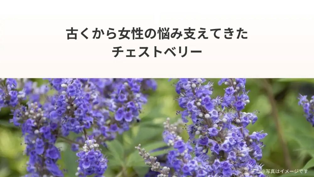 Pure Meets Support |フェムケアサプリ(1箱30包)