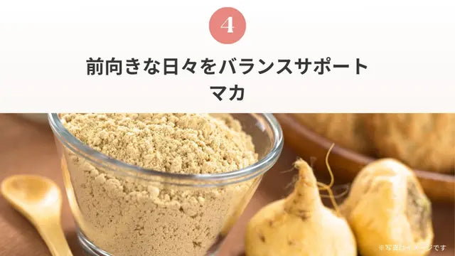 Pure Meets Support |フェムケアサプリ(1箱30包)