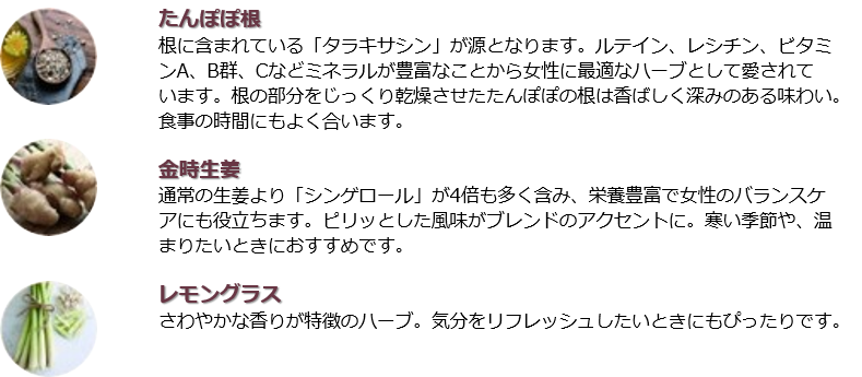 セルフケアハーブティー|Basic MINI(2包)